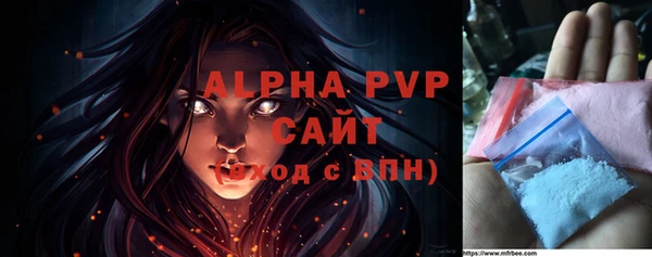 ешки Белокуриха