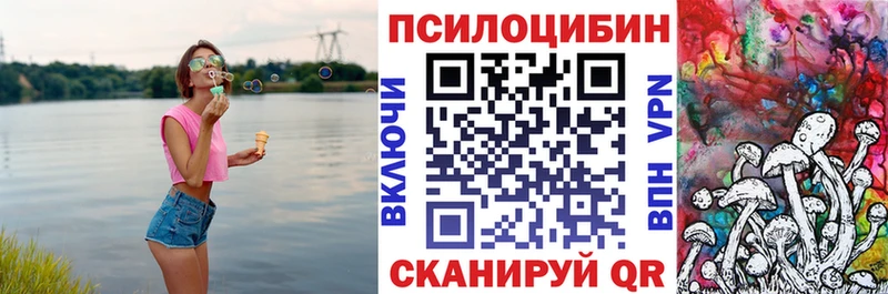Псилоцибиновые грибы ЛСД  Болгар 